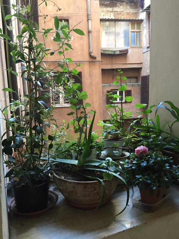 Apartamento Casa Magiuli' Navona Roma Exterior foto